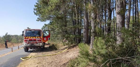 images - 2026-08-14T203545.652