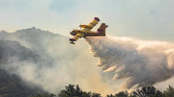 images - 2026-08-16T110141.291